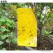 �ߒ��V�[�g ���� �S�� 20�� 15�~25cm �Q�� �ߊl ���� �g���b�v ����� ���S ��i�s�g�p ���Q�ň��S �J�b�g�� �ϐ��f�� �r�j�^�C�t ���F �F �֘A�摜2