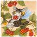  очки .. ланч. Berry .. шарик .....-..dayan