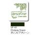  есть кошка штамп накладка балка sa штраф S VFS-6 один владелец Lynn Piaa зеленый 