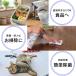 �p�X�g���[�[77 1L �t���փ^�C�v 2�{ �Z�b�g �A���R�[�����ŉt ���� ���L �R�� �h�J�r �֘A�摜2