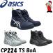 �A�V�b�N�X ���S�C CP224 TS BOA 1271A061 �_�C������ ��ƌC �Z�[�t�e�B�V���[�Y JSAA A��F�� �y�� ���@�\ �ϊ� WINJOB �����Y ���f�B�[�X�@1271A061