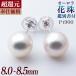 ĶԸּԥۥּ ̽ ѡԥ ۥ磻ȷ 8.0-8.5mm AAA Pt900 ץ [n4][hana-sale]