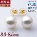ĶԸּԥۥּ ̽ ѡԥ ۥ磻ȷ 8.0-8.5mm AAA K18  [n4][hana-sale]
