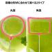 �~�W���R�l�b�g �u���C���V�������v�l�b�g �{�[���`�F�[���t�� �t�B�b�V���l�b�g ���_�J �� ���� BISHOKU �֘A�摜4