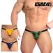 [4051]ZEST super low-rise bikini