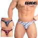 [4090]REGIMENTAL super low-rise bikini