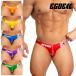 [4188]REBOOT NX PRIDE super low-rise bikini