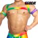 [3709]RAINBOW GRADATION harness &amp; armbands set