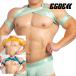 [3852]RAVE cross harness &amp; armband set