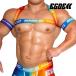 [4193]REBOOT NX PRIDE harness &amp; armbands set