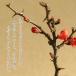 �~�j�~�́F�����~*(���ˏĎO�ʔ�) ���F�I�ׂ� ���A�� ���� �j�� �M�t�g gift �a�����j ��j bonsai �֘A�摜3