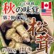 今期終了間近 数量限定 松茸 1kg 開き わけあり 大きさおまかせ カナダ産・北米産 秋の味覚 豊かな香りで食べごたえのある松茸