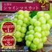 fu.... налог Yamanashi город [2026 год адресат line прием ] автомобиль in мускат 2.( примерно 1kg) Yamanashi префектура производство фрукты популярный виноград 