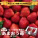 fu.... налог Dazaifu город [2027 год адресат line прием ][ Dazaifu ] фрукты специализированный магазин тщательно отобранный! [.....] весна 4 упаковка 