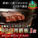 �դ뤵��Ǽ�� ��ϩĮ ��°�ù��Υץ����Ĥ���BBQ�� Ŵ��(��25cm�߲�25cm/����6mm)<�����ȥɥ�/������>
