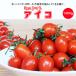 fu.... налог . десять тысяч высота . блок Ehime префектура . десять тысяч высота . блок производство мини помидоры ( товар вид : Aiko ) 1.4kg