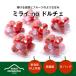 fu.... налог Мураками город [ ограниченное количество ][ Mira ino Dolce ] Niigata префектура Мураками производство мини помидоры A4151