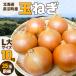 fu.... налог Naganuma блок Hokkaido Naganuma блок производство шар лук порей L большой размер 10kg