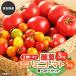 fu.... налог . хорошо . город [2026 год отправка ] король помидор красота лето 3kg&amp; много товар вид мини помидоры 1kg еда . сравнение комплект 