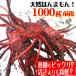fu.... налог Восток блок ... Исэ город море .1000g(2~5 хвост ) натуральный Kochi префектура производство sashimi OK! каждый простой кулинария инструкция имеется.