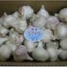 fu.... налог ... город есть перевод [ сырой чеснок ]3kg