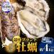 fu.... налог толщина . блок [ через год отгрузка ]THE есть перевод устрица примерно 4kg Hokkaido толщина . производство бренд ..[ maru ...]. есть 