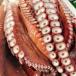 fu.... налог маленький . город маленький . производство вода осьминог sashimi 150g×6 упаковка 900g