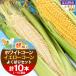 fu.... налог . хорошо . город еда . сравнение белый кукуруза . Yellow corn утро .. этот день отправка . хорошо . производство хорошо .. комплект всего 10шт.