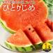 fu.... налог . хорошо блок .. Wakayama производство маленький шар арбуз [.....]1 шар 