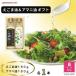 fu.... налог Okazaki город [ подарок упаковка соответствует ] Ajinomoto дикий кунжут масло 180g&amp; льняное семя масло 180g каждый 1 шт. подарок 