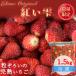 fu.... налог Matsuyama город Ehime префектура оригинал товар вид .... рефрижератор клубника 1.5kg