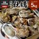 fu.... налог столица . после город Kyoto * столица . после производство ..5kg( примерно 50 шт )