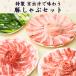 fu.... налог Kyoto (столичный округ) [ кастрюля комплект 2 порции ] Special производства ... тест .. столица Tanba высота . свинья . 9 статья лук порей. свинья ... комплект ваш заказ гурман 