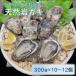 fu.... налог талант прекрасный город натуральный скала gaki примерно 300g×10~12 шт 