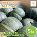 fu.... налог . хорошо . город [2026 год отправка ] Hokkaido . хорошо . производство тыква [. Chan ]5kg * ладонь размер . популярность.!