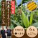fu.... налог . дерево .[2026 год производство ] Nagano префектура . дерево . утро .. высота . кукуруза [ Gold Rush ]6 шт. входит .