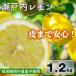 fu.... налог Matsuyama город Seto внутри ( местного производства ) лимон 1.2kg(8-12 шт степень ) сельское хозяйство . прямая поставка культивирование период средний пестициды не использование Ehime префектура производство 
