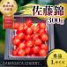 fu.... налог холод река . город 2026 год производство вишня [ Sato .] 300g превосходящий товар L и больше (300g×1 коробка ) Yamagata префектура производство 