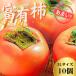 fu.... налог Ono-cho ....... Gifu. хурма [. иметь хурма ] 3L×10 шт превосходящий товар Gifu префектура Ono-cho (2026 год 11 месяц последняя декада ~ отправка )