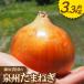 fu.... налог высота камень город { примерно 3.3kg} Fujiwara сельское хозяйство .. Izumi . лук репчатый Naniwa. традиция овощи размер смешивание 
