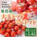 fu.... налог . суша Omiya город . сельское хозяйство . мини помидоры &amp; большой шар помидор комплект 