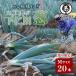 fu.... налог внизу . рисовое поле блок другой название [ dono sama лук порей ] большой . сельское хозяйство .. внизу . рисовое поле лук порей (M 20шт.@)