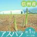 fu.... налог внизу ..[ Shinshu производство ] спаржа превосходящий товар примерно 1kg(500g×2 пакет ввод ) 2026 год 4 месяц средний ... последовательный отправка 