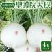 fu.... налог Kumiyamacho Kyoto (столичный округ) .. гора ... дайкон (. дайкон )4шт.@ одэн .. предмет . в точности 