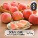fu.... налог хвост цветок . город предшествующий предварительный заказ есть перевод персик белый персик примерно 5kg (10~25 шт степень ) нет печать товар 2026 год производство sb-mohtw5