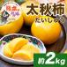 fu.... налог Kikuchi город [ предшествующий предварительный заказ ] Kumamoto префектура производство хурма высота сахар раз новый . чувство futoshi осень хурма ( хочет .....) примерно 2kg(4~8 шар )( Kikuchi город )