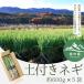 fu.... налог Nagano префектура [ Shinshu производство ] земля имеется лук порей примерно 3kg(600g×5 пакет ввод ) 11 месяц сверху . из последовательный отправка 