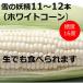 fu.... налог Ikeda блок [ есть перевод ] Hokkaido снег. ..( белый кукуруза )11~12 шт. входит . примерно 5 kilo кукуруза 