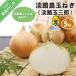 fu.... налог юг ... город Awaji Island шар лук порей (.. шар Saburou ) 5kg