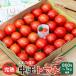 դ뤵Ǽ  ȥޥ  800g1kg 褷褷ȪΤޡȥޥ Ȥޤ  [No5698-0717]